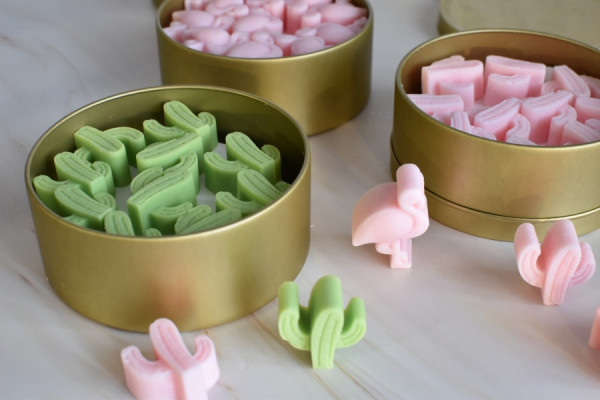Wax Melts Flamingo y Cactus